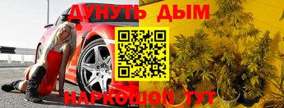 прущие грибы Краснодар