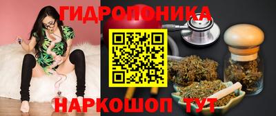 прущие грибы Краснодар
