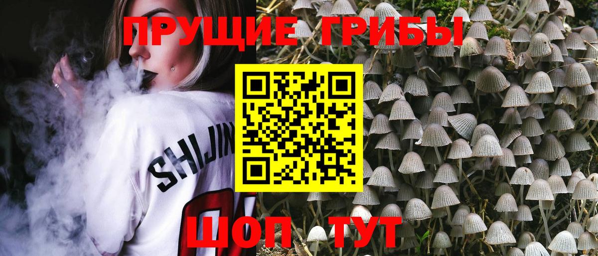 Кизилюрт  Псилоцибиновые грибы Psilocybine cubensis  Вход с VPN  Псилоцибиновые грибы мухоморы 