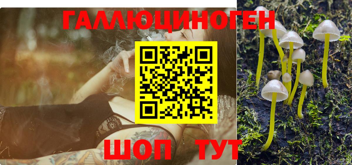 Галлюциногенные грибы GOLDEN TEACHER Кизилюрт